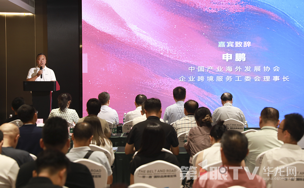 中国产业海外发展协会企业跨境服务工委会理事长申鹏。第1眼TV-华龙网首席记者 李文科 摄